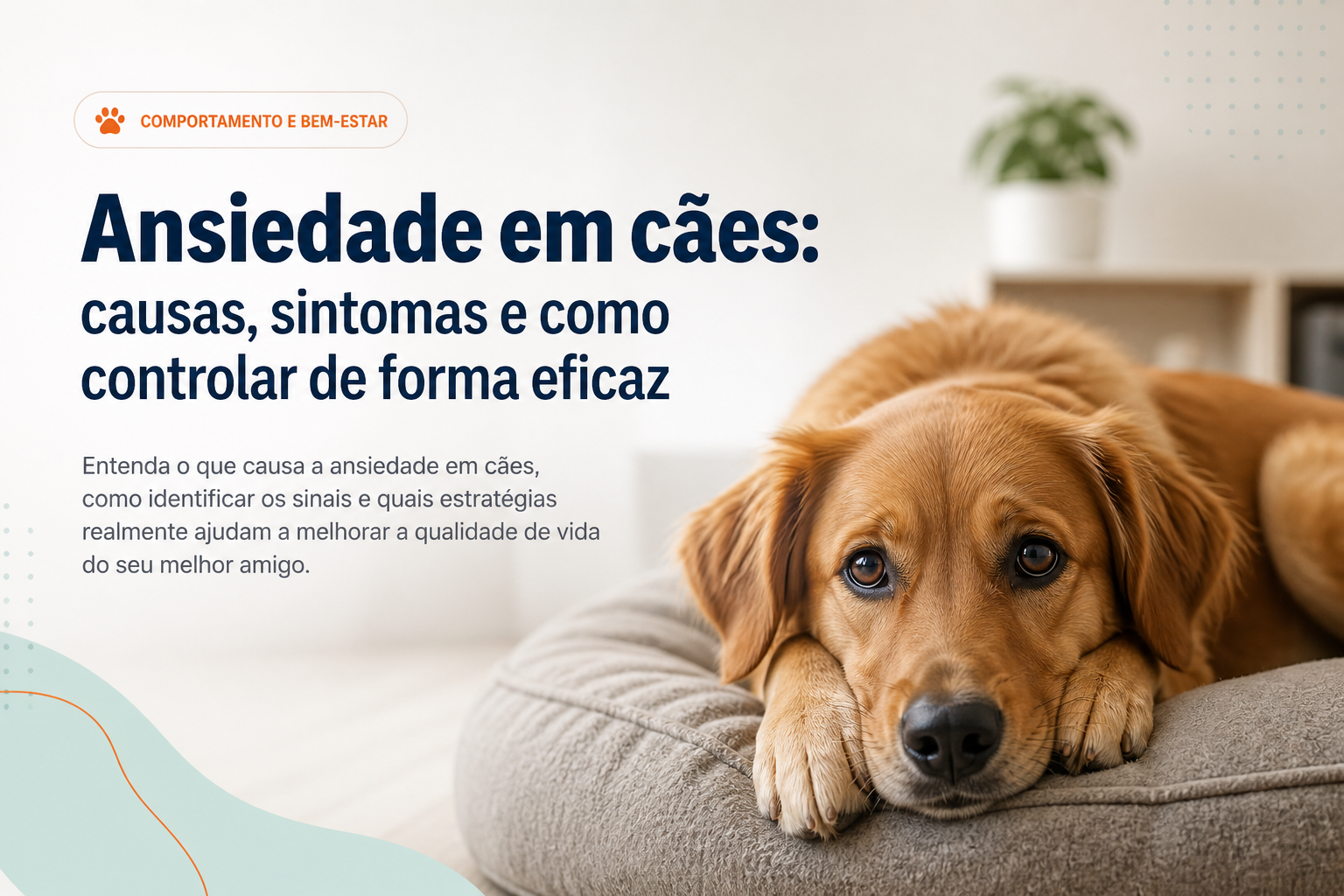 Ansiedade em Cães: Causas, Sintomas e Como Controlar de Forma Eficaz