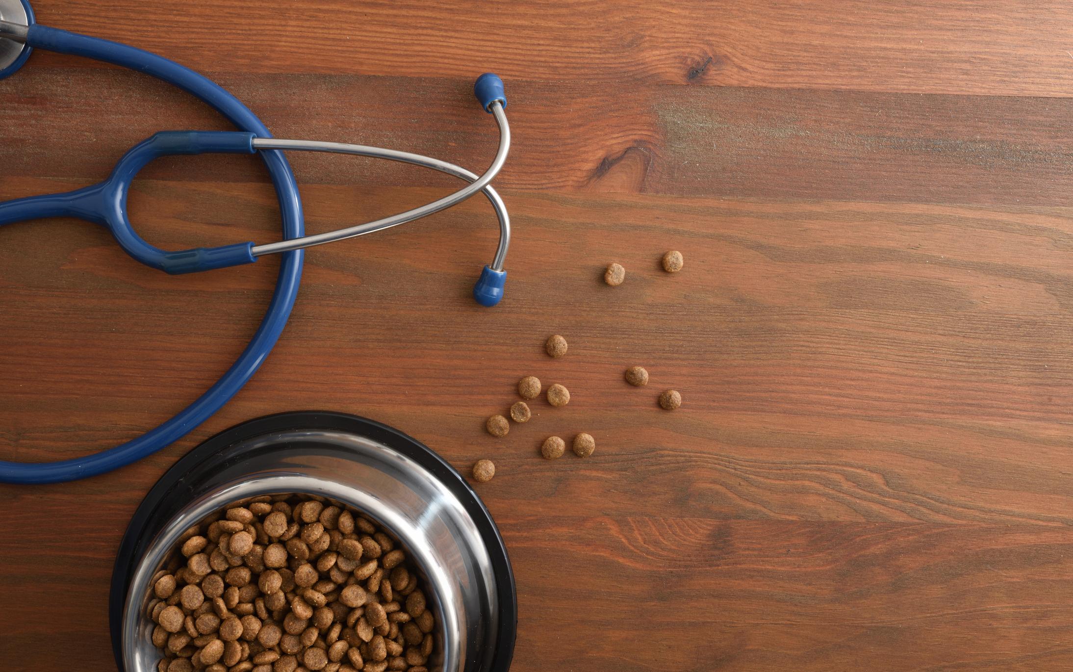 Suplementos para Cães Valem a Pena? O Que a Ciência Diz